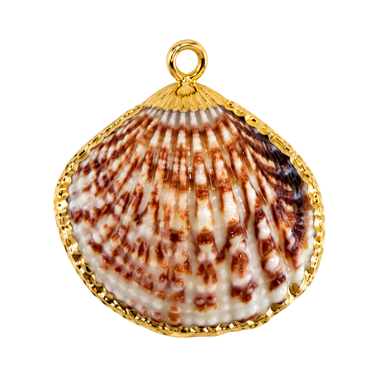 Natural Shell Charm