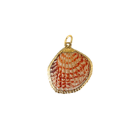 Natural Shell Charm