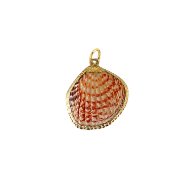 Natural Shell Charm