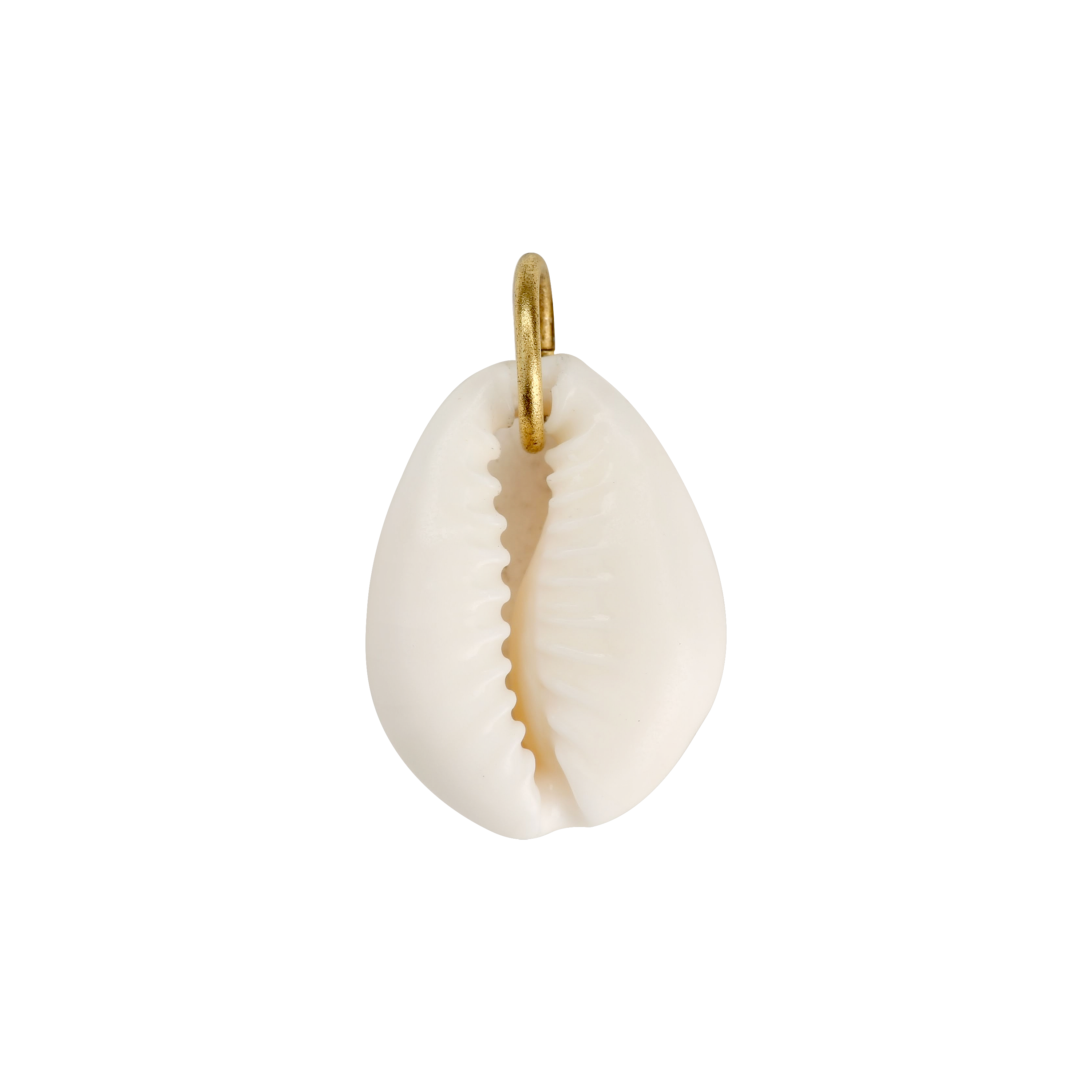 Cowrie Shell Charm