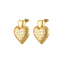  Double Heart Earrings