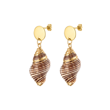  Jumbo Shell Earrings