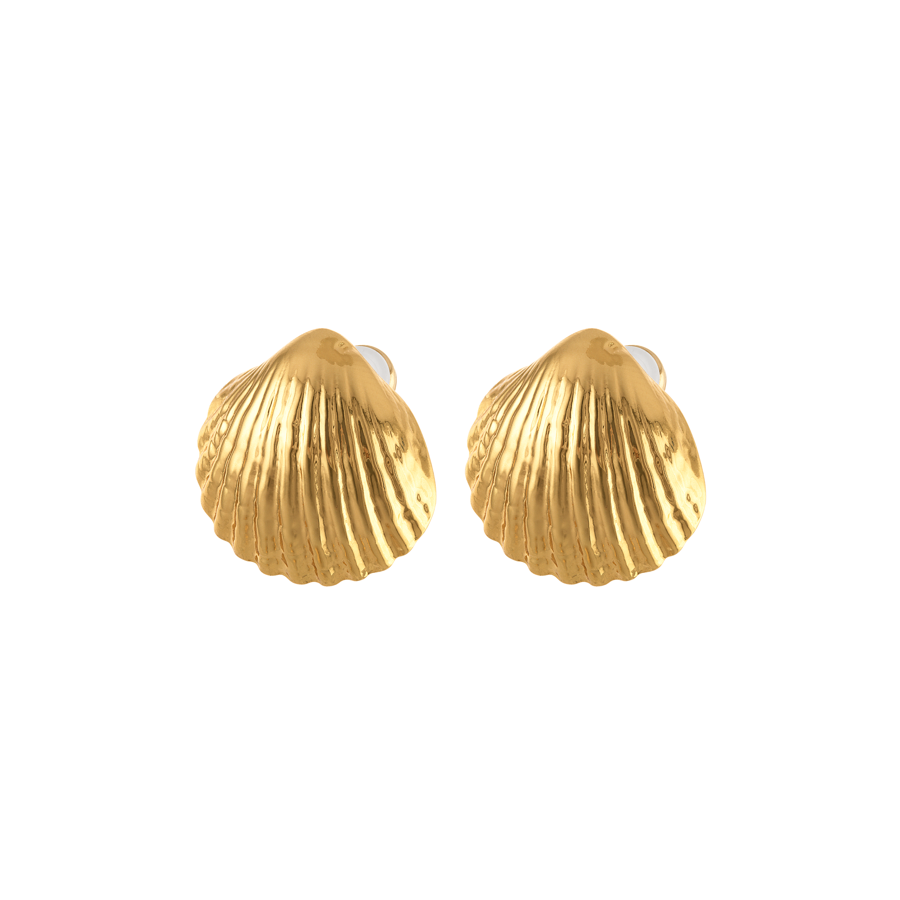 Golden Shell Earrings