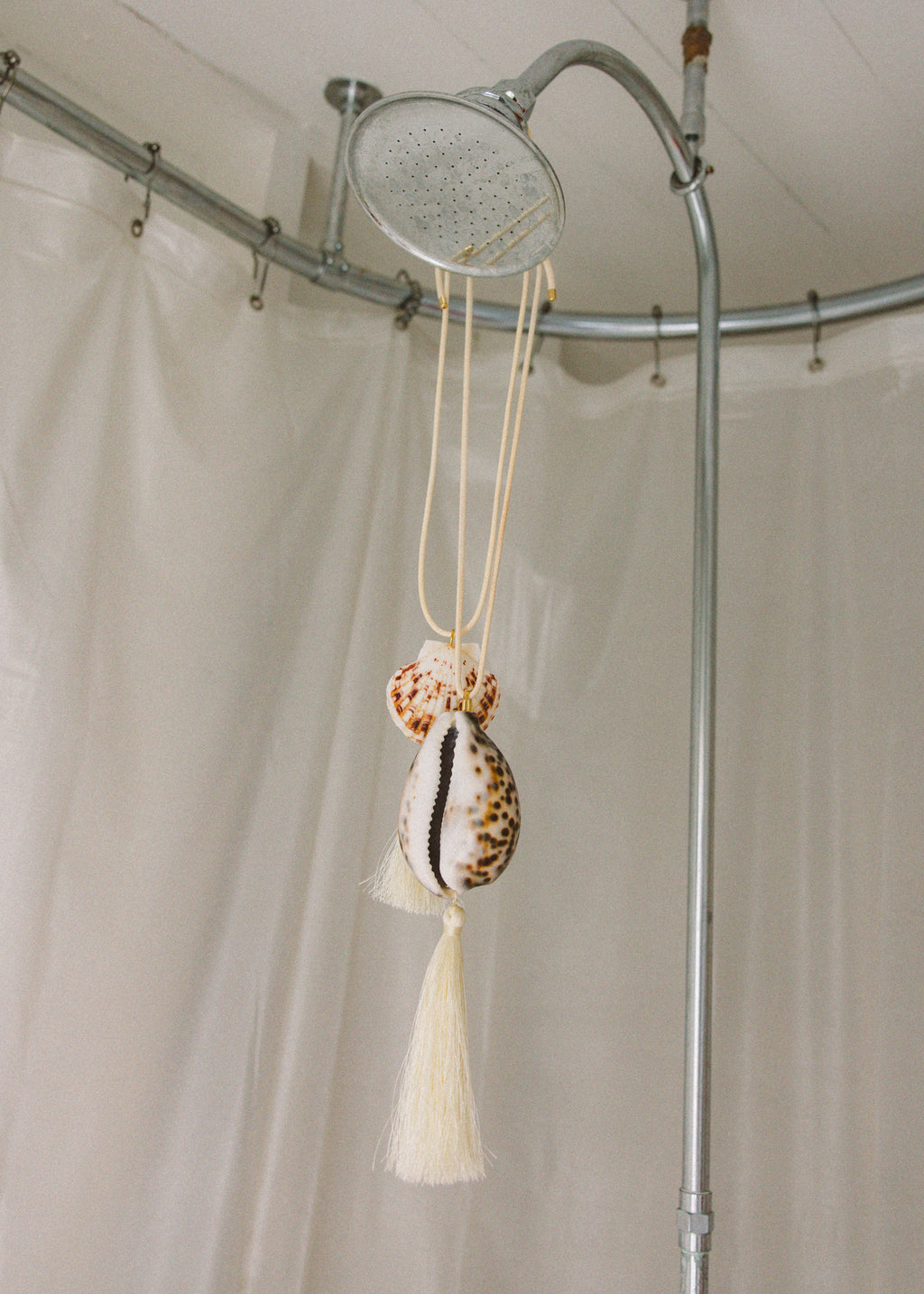 Conch Shell Necklace