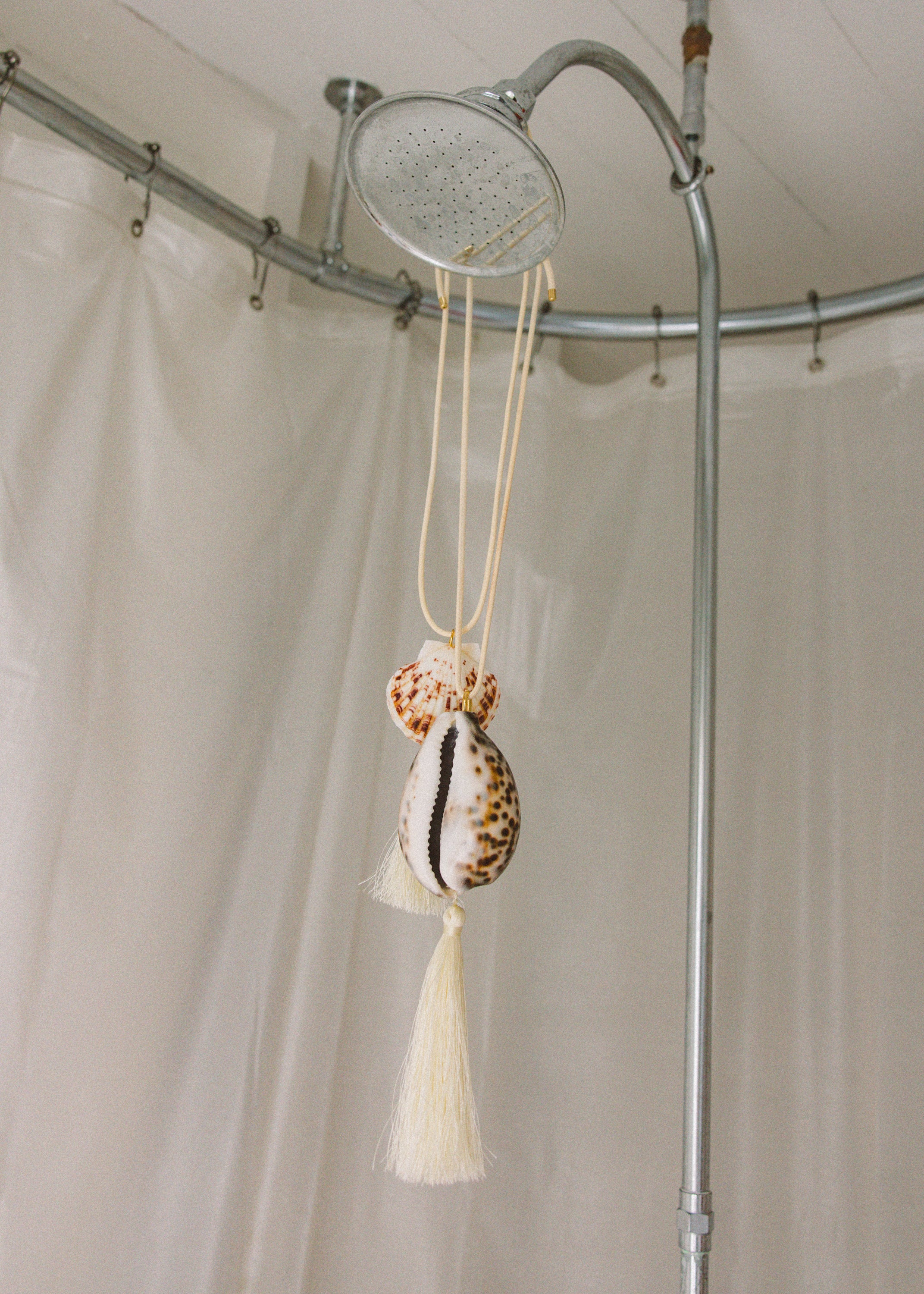 Conch Shell Necklace