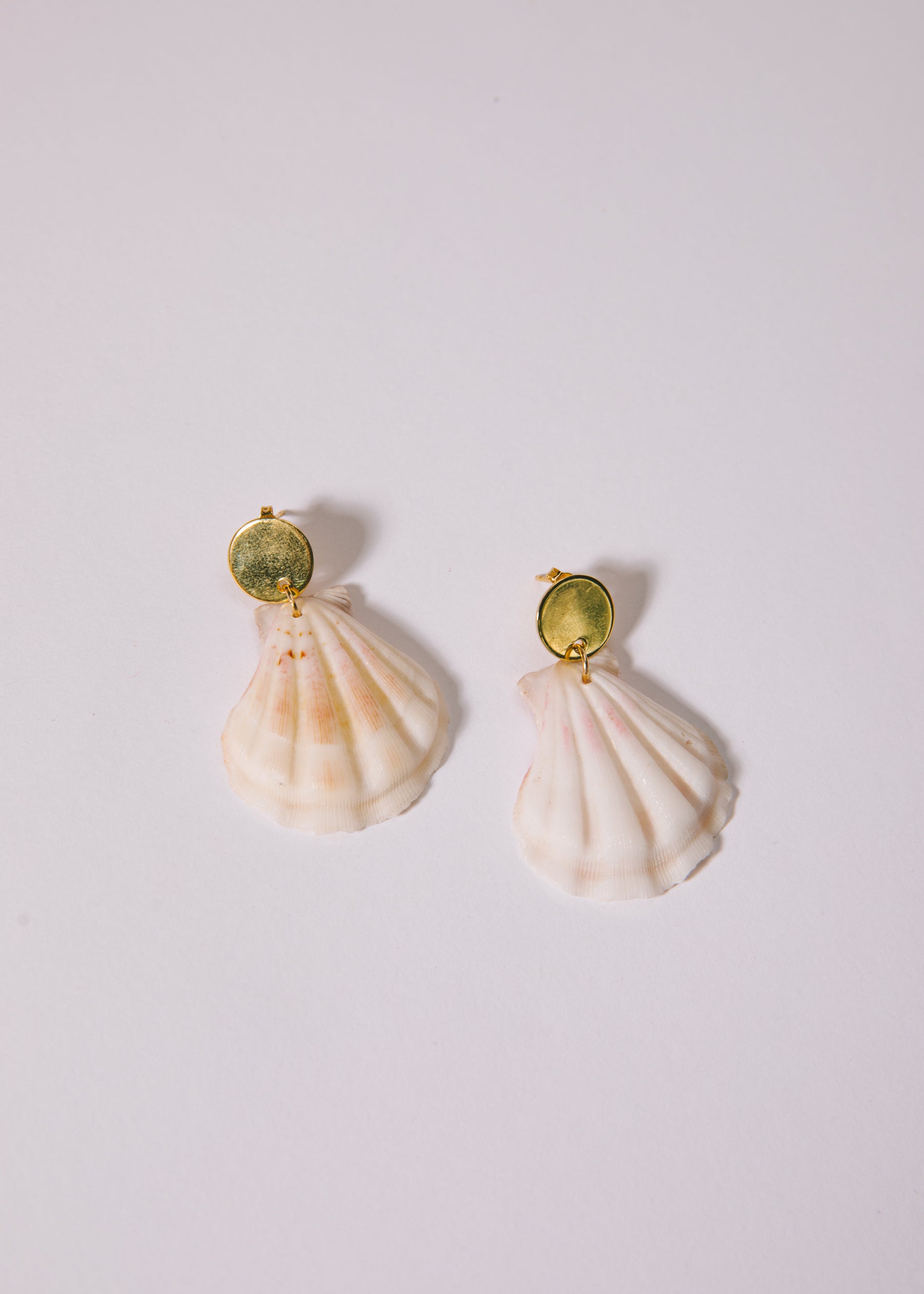 Scolloped Shell Earrings