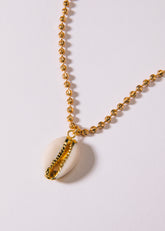 White Cowrie