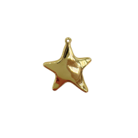 Large Star Charm