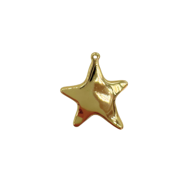 Large Star Charm